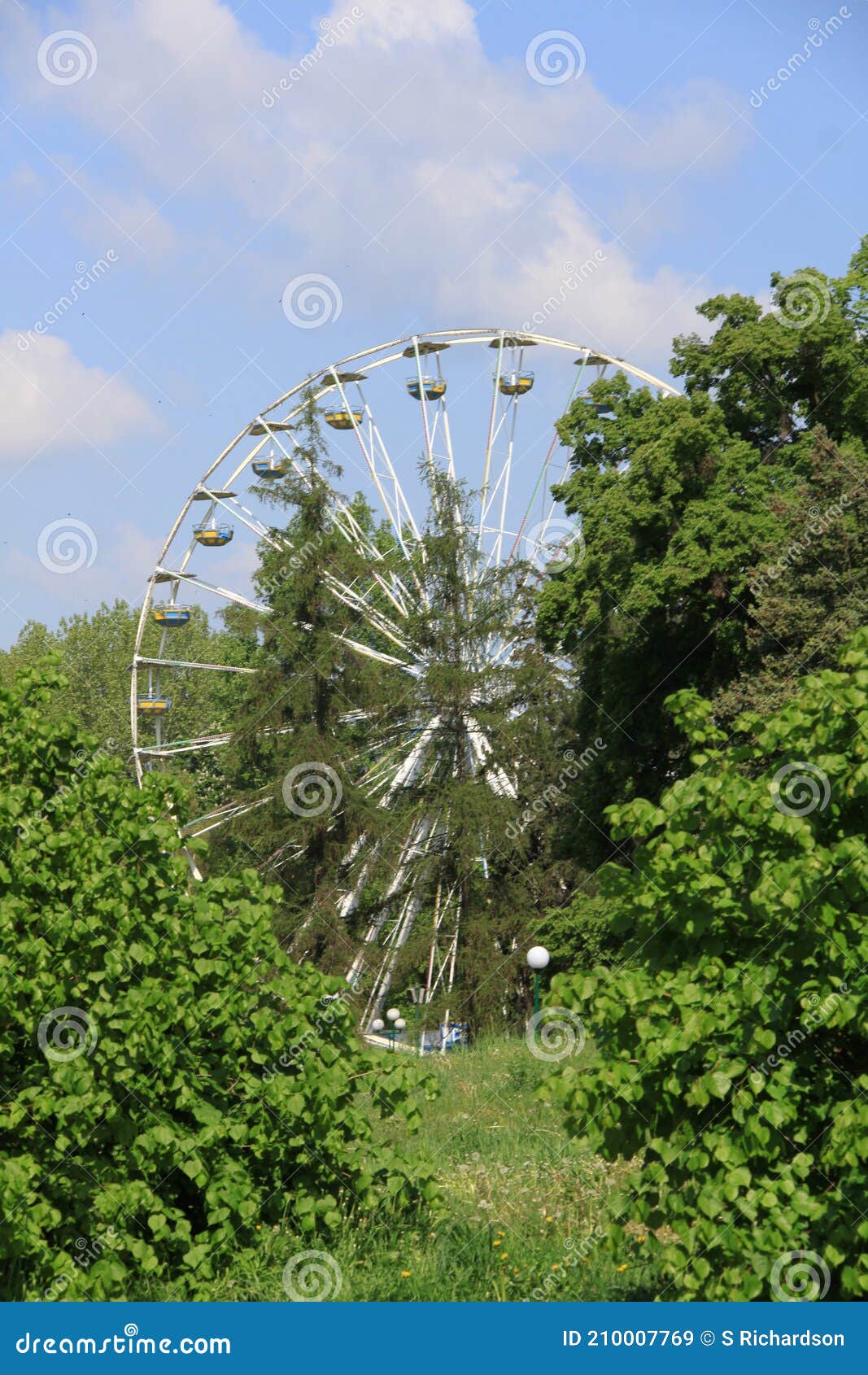 ferris wheel at the amusement park